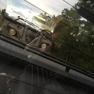 Meet your Posher, Jackson